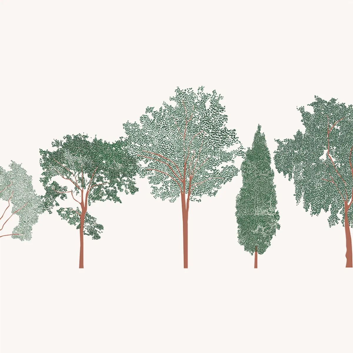 Broadleaf Trees Color 1