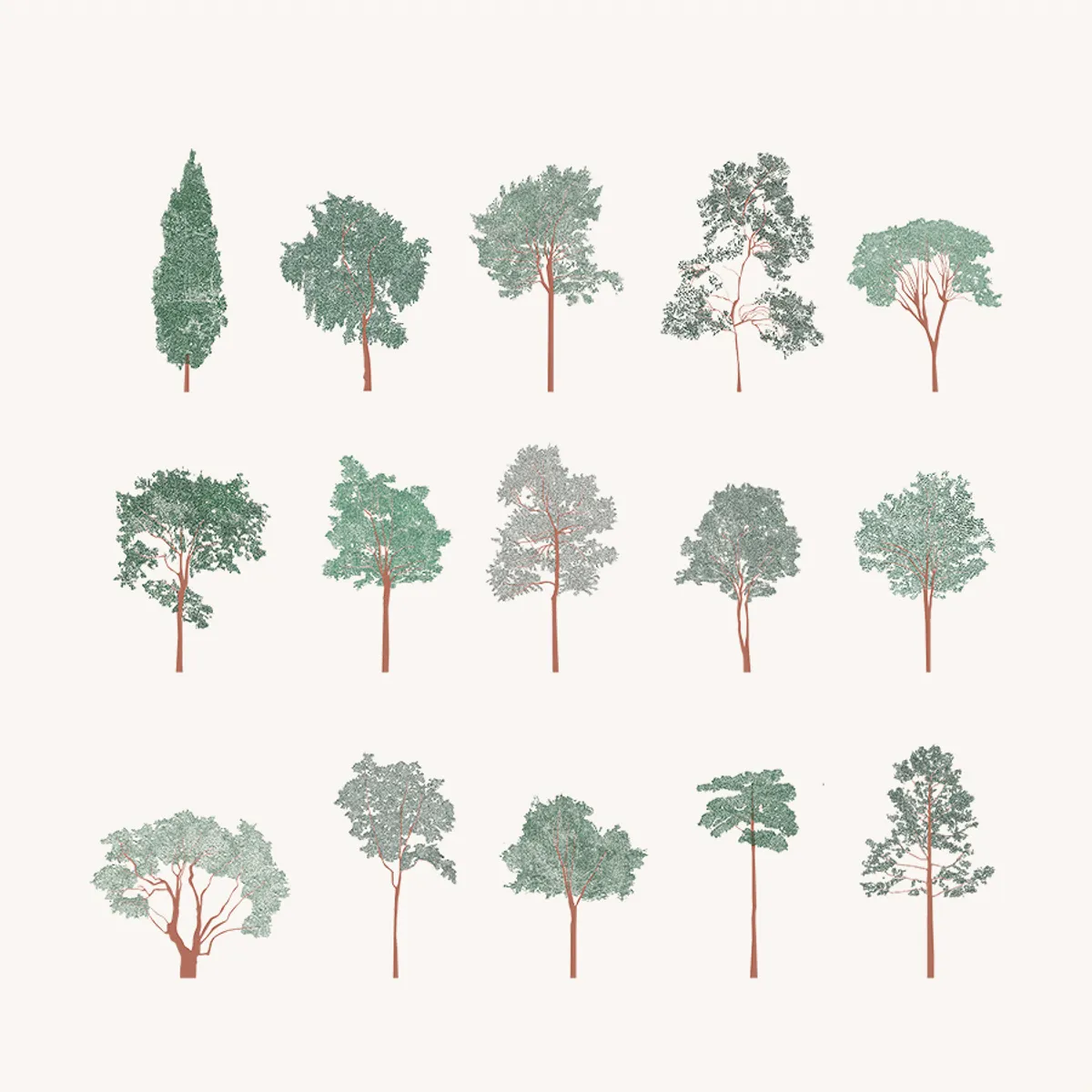 Broadleaf Trees Color