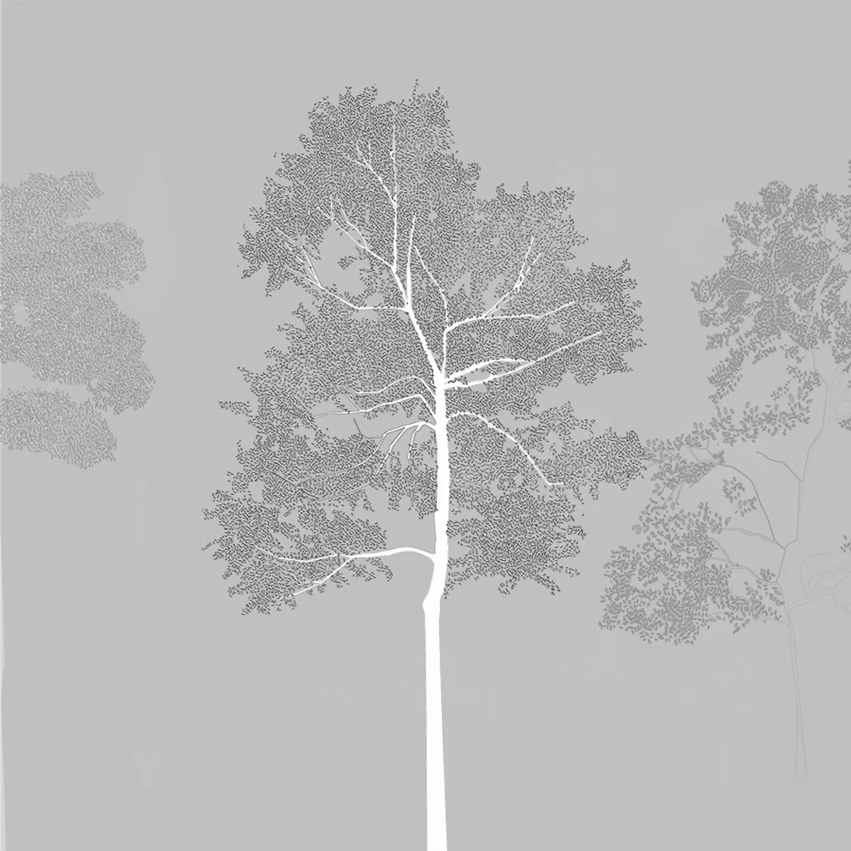 Broadleaf Trees Elevation 1