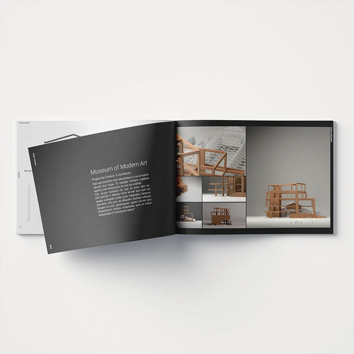 Horizontal Portfolio Project Spreads 2