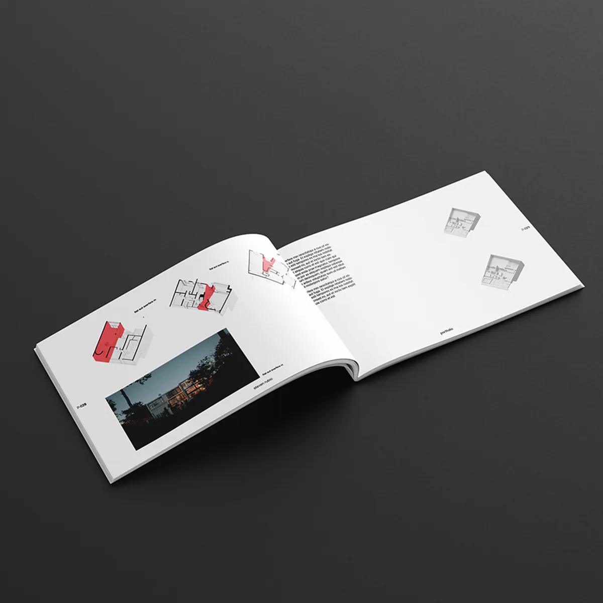 Horizontal Portfolio Project Spreads 4