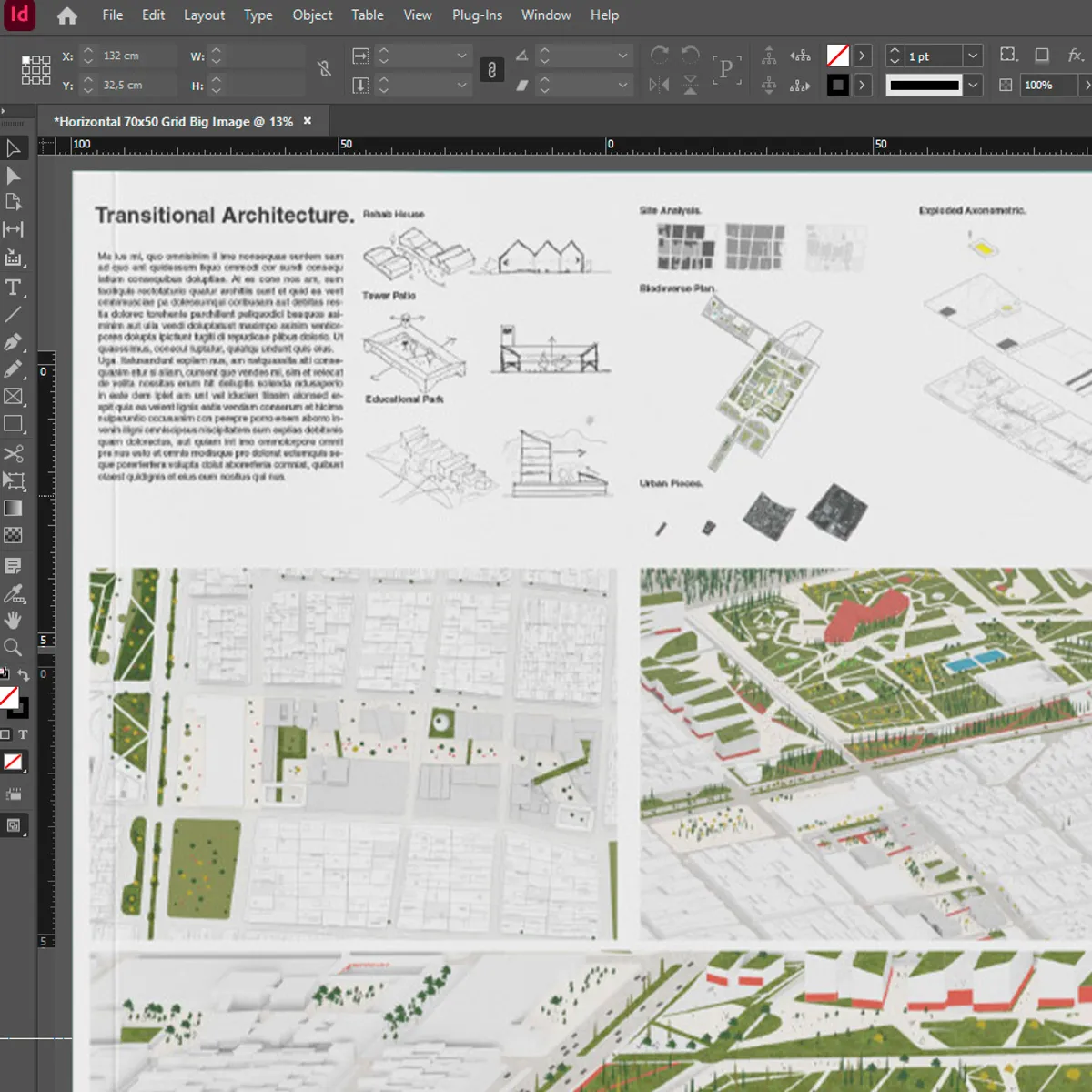 Indesign Zoom of a Presentation Board in the program