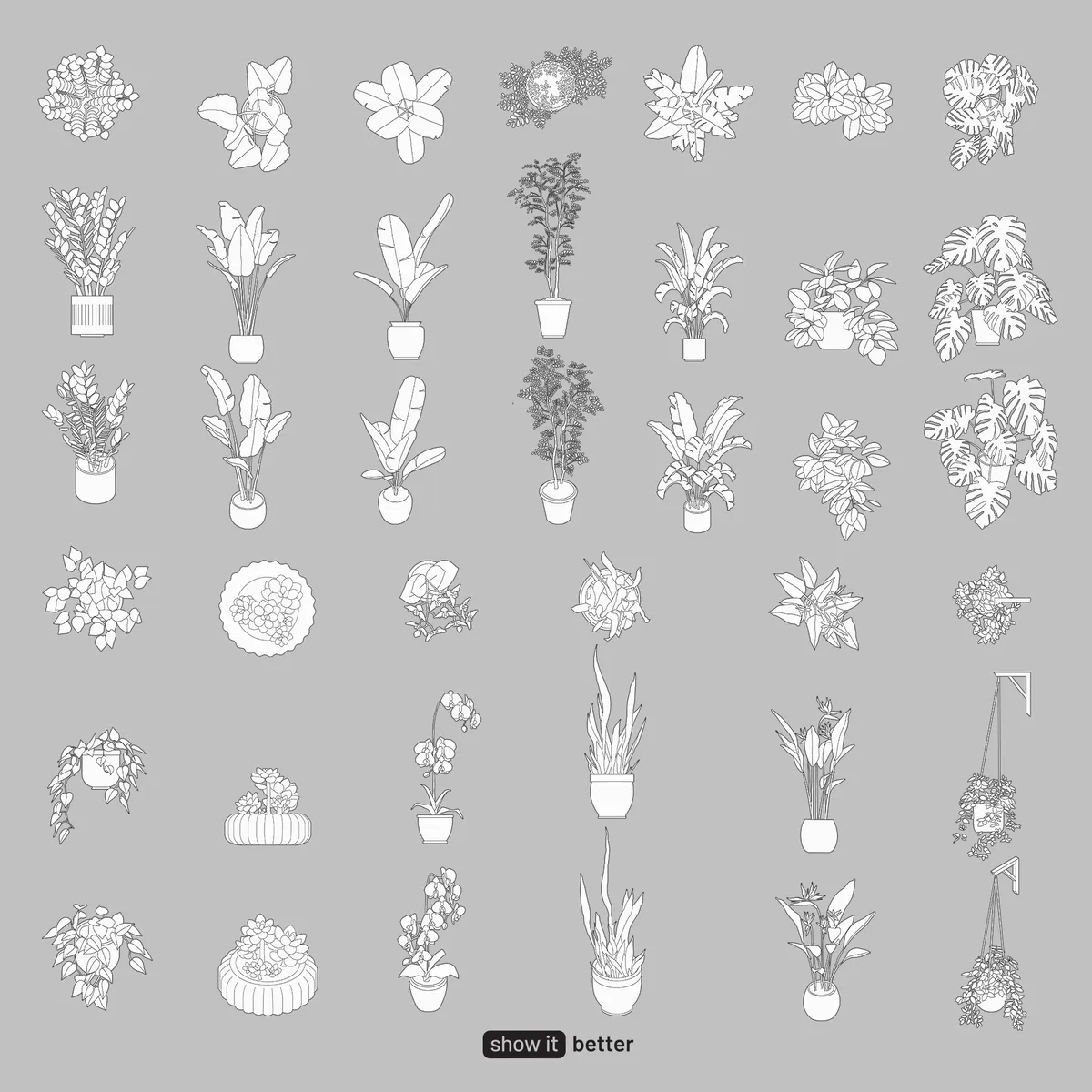 Interior Plants by Show it Better Line