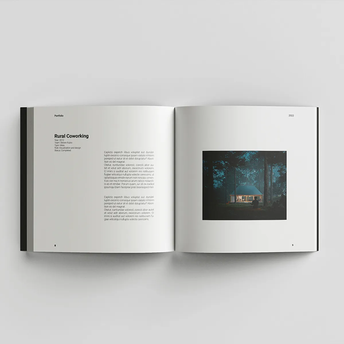 Portfolio Project Spreads 2