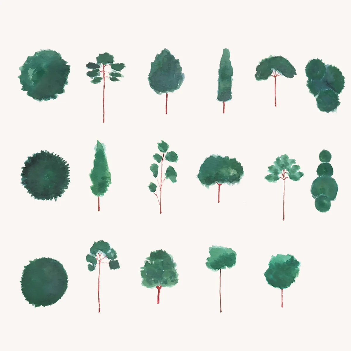 Watercolor Trees Elevation