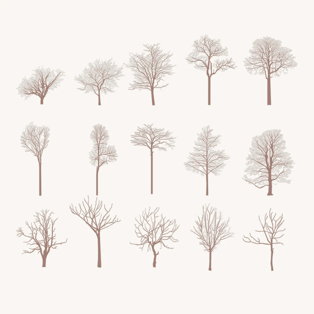 Winter trees elevation Color