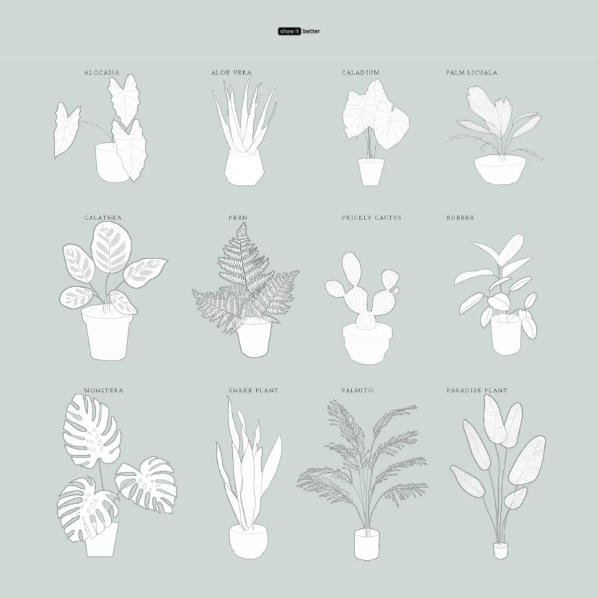 Tropical Plants line only png